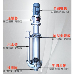 50ZJL-B40液下渣浆泵-恒越工业泵