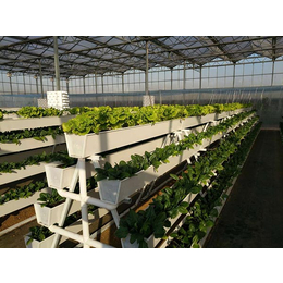 草莓无土栽培种植槽-建英农业科技-无土栽培种植槽