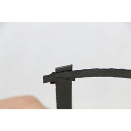 白山钢塑土工格栅-信联土工材料-双向钢塑土工格栅