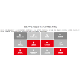 用友定制-龙岩用友-乐柠(查看)