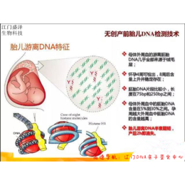 江门无创产前亲子鉴定