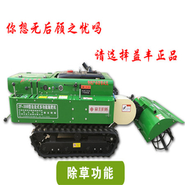 旋耕施肥机-高密益丰机械(在线咨询)-新疆施肥机