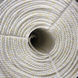 聚*塑料绳价格-远翔绳网(在线咨询)-聚*塑料绳