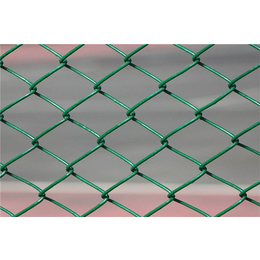 包塑丝篮球场围栏-宏鸿丝网-包塑丝篮球场围栏定做