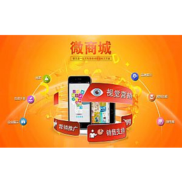 上海微信购物商城定制 微信商城三级分销APP系统开发