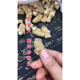 西洋参-长春参-隆程药材商行