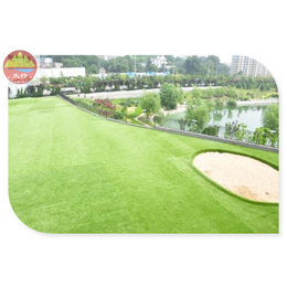 1.5厘米****型塑料草坪地毯 绿色草坪网 人工塑料草坪厂家
