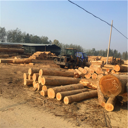 辐射松方木-中林木材加工厂-辐射松方木加工厂