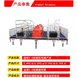 母猪产床山东佰牧兴欧式母猪产床猪产床厂家双体母猪产床缩略图