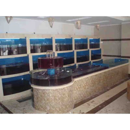 安徽赛冬鱼缸(图)-海鲜池生产厂家-合肥海鲜池厂家