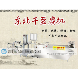 菏泽干豆腐机器报价 干豆腐机操作视频 鑫丰干豆腐机加工技术