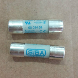 低价供应德国SIBA熔断器5006308.6 6A 500V