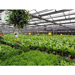 花卉智能温室-常州花卉温室-富峰农业