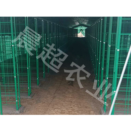 萍乡网格架-河北晨超-蘑菇网格架