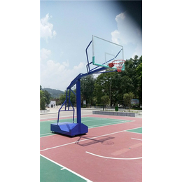 海燕式篮球架多少钱一副-景德镇海燕式篮球架-辉跃体育用品厂家