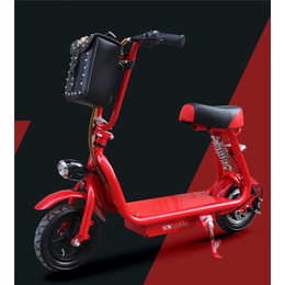 洛阳电动自行车-邦能电动车(在线咨询)-锂电电动自行车价格