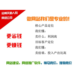 信息推广软件费用-推广软件费用-沧州天助人和(查看)