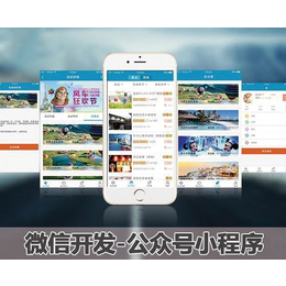 南京奋钧数码科技公司-南京微信程序开发