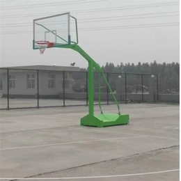 篮球架定做-篮球架厂家(在线咨询)-篮球架