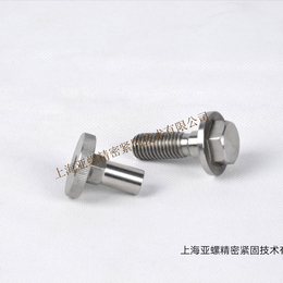 NS1101合金螺栓螺母非标紧固件生产