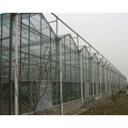 连栋玻璃温室-鹤壁玻璃温室-河北保定卓尔温室(查看)