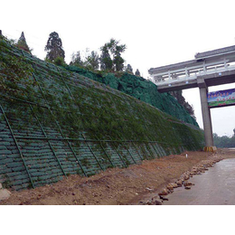 植生袋-植生袋厂家-宏祥股份(****商家)