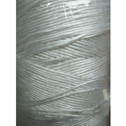 绿色塑料绳报价-山东塑料绳报价-瑞祥包装麻绳生产厂家(图)