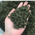 散装绿茶厂家-峰峰茶业(在线咨询)-散装绿茶缩略图1