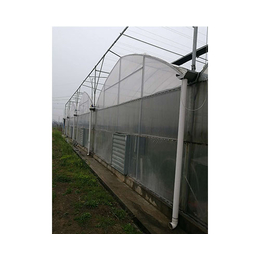 克拉玛依玻璃连体大棚-玻璃连体大棚建设厂家-亿农农业