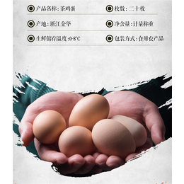 鸡蛋礼盒装-鸡蛋-【浦江茶艺轩】