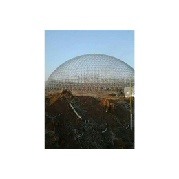 单体球形温室-瑞青农林科技-七台河球形温室