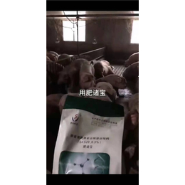 东营猪催肥用什么药-猪催肥-赛科药业