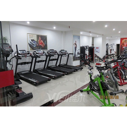 重庆健身器材厂-维尔健身器材(在线咨询)-重庆健身器材