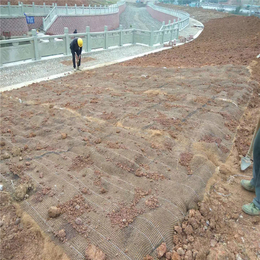 荆州*边坡防护 河道整治 环保生态毯 *冲生物毯 植生毯