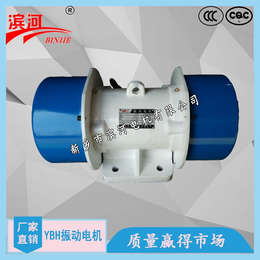 YBH-220-6系列振动电机淮北矿山设备选用型号