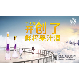 华阴鲜榨果汁酒-广东华子龙-鲜榨果汁酒企业