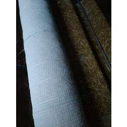 植物纤维毯铺设施工-植物纤维毯绿化(在线咨询)郑州植物纤维毯