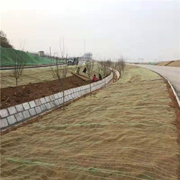 植物纤维毯-植物纤维毯边坡绿化-植物纤维毯的作用