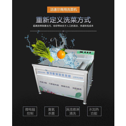 全自动洗菜机批发-随州全自动洗菜机-洁速尔机械设备(查看)