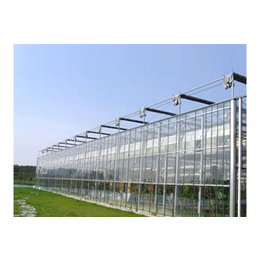 哈密智能温室-瑞青农林科技有限公司-智能温室承建