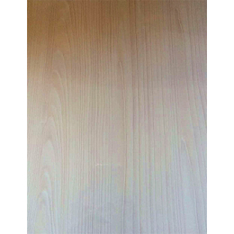 杉木生态板订购-杉木生态板-双赢板材保质保量