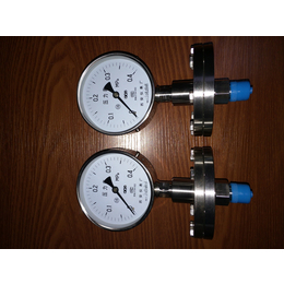 不锈钢隔膜压力表YTPF-150精度1.6级1.0级