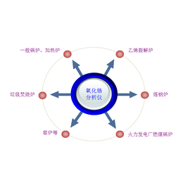 氧化镐头 检测器 O型圈ZZPZFK3A100