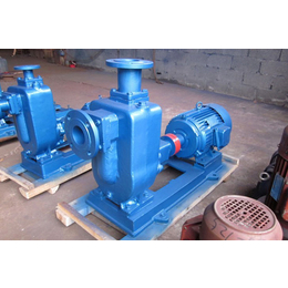 黔南州50CYZ-A-30汽柴油装车泵-自吸油泵选型