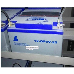 德国ZINSCHE森泉蓄电池12-OPzV-25供应商缩略图