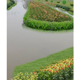庭院花卉植物价格-四川庭院花卉植物-长沙市雨花区环路景石
