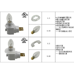 壁插式灯头-东莞传嘉实业公司-E29壁式灯头插