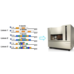 阜新细胞系STR鉴定公司-武汉迈斯普(图)