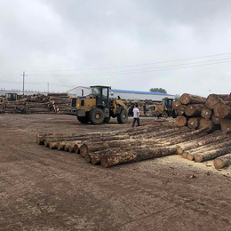 木材加工厂-日照友联木材加工-山东木材加工厂