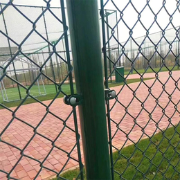 河北厂家供应  球场防护网  体育球场围网